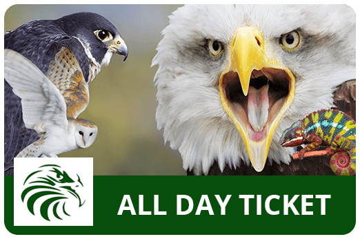Liberty's Owl, Raptor & Reptile Centre Tickets