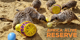 Africa Alive Zoological Reserve
