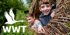 Arundel Wetland Centre