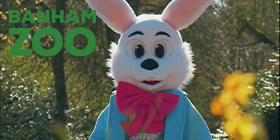 Banham Zoological Gardens