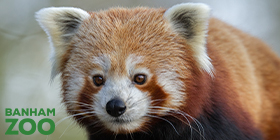 Banham Zoological Gardens