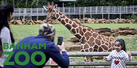 Banham Zoological Gardens