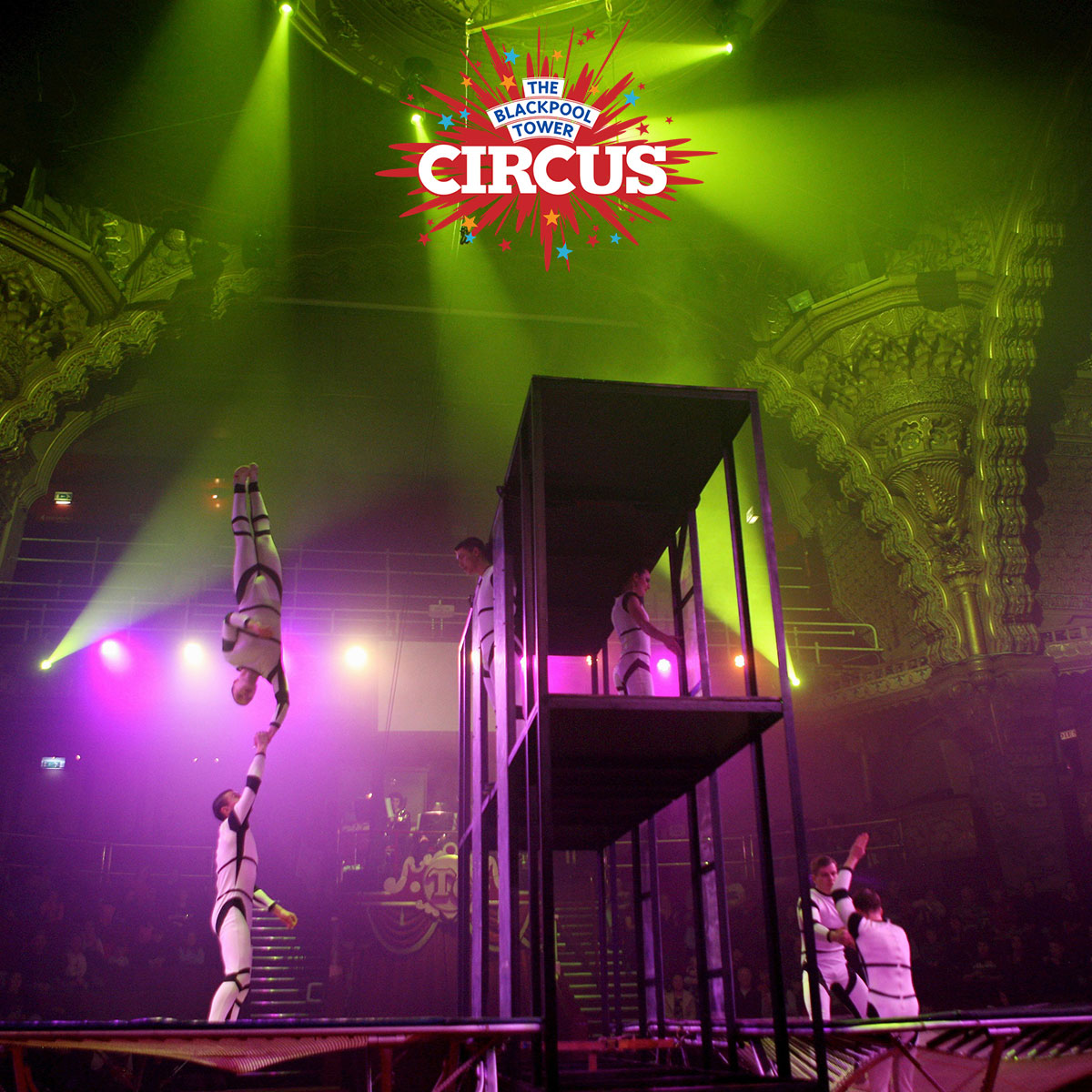 Blackpool Tower Circus | Mooky & Mr Boo Live | Picniq