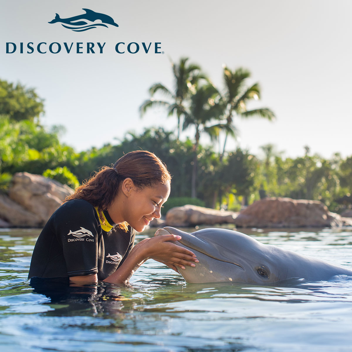 discovery cove florida