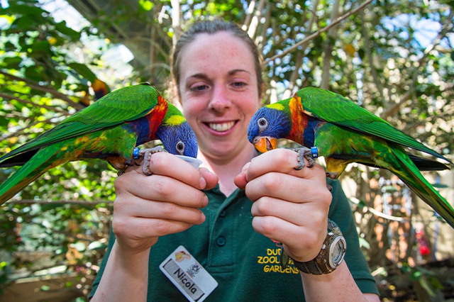 Dudley Zoo & Castle, Up to 20% off