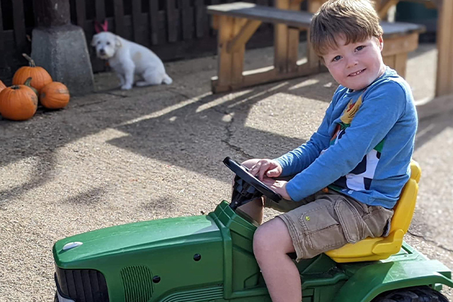 Easton Farm Park, save up to 25%