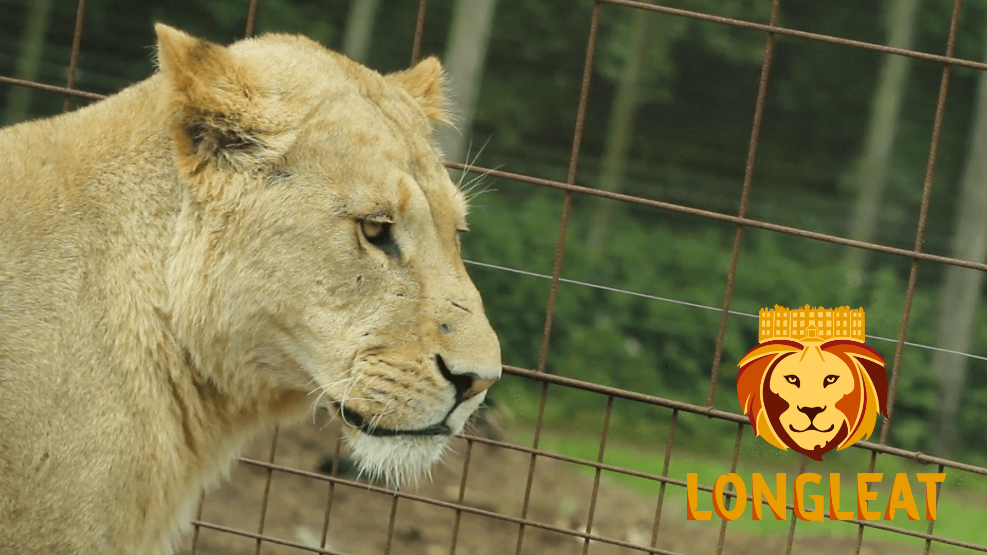 Longleat Tickets, 20 Off Exclusive Discount