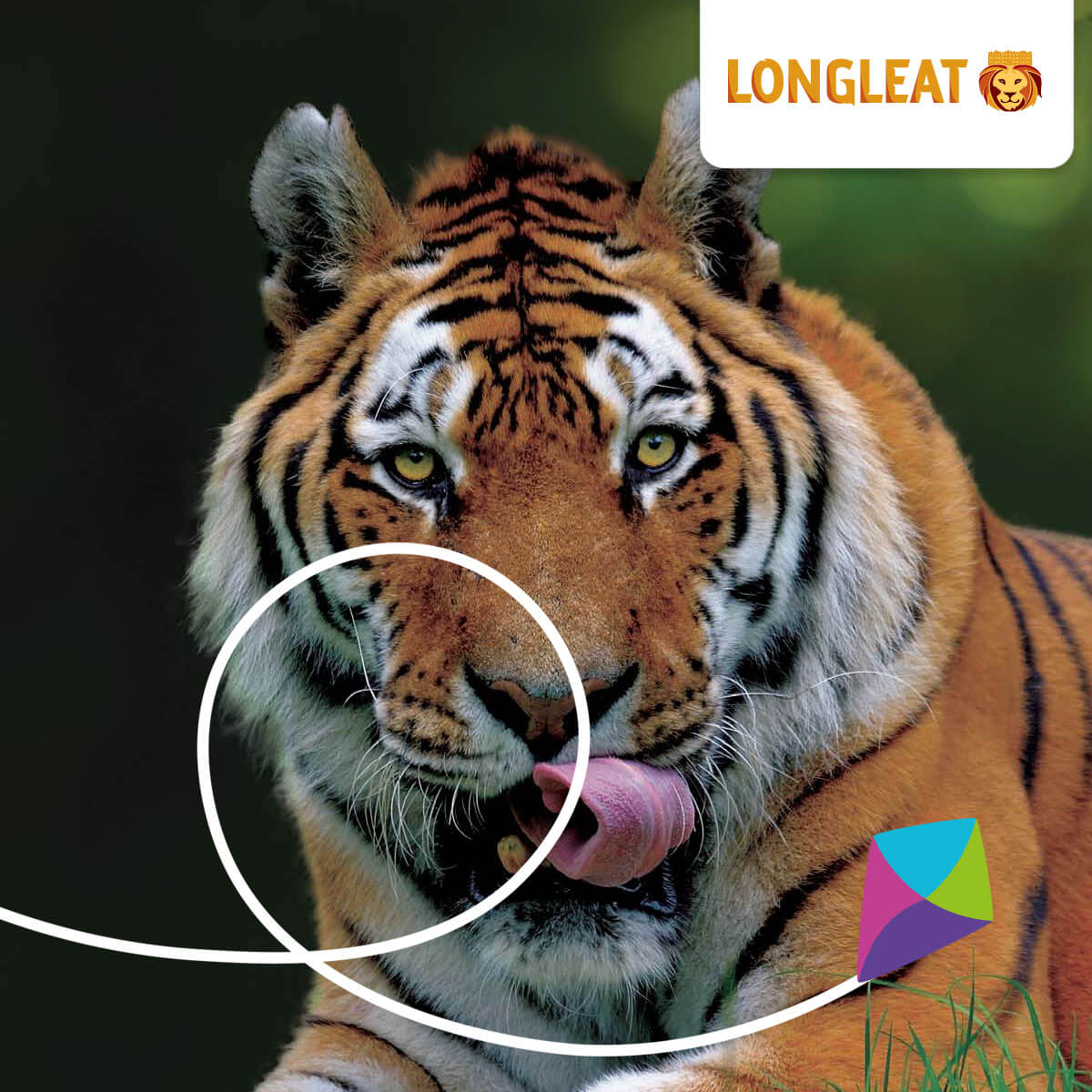 Longleat Tickets 10 Off Exclusive Discount
