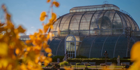 Kew Gardens Tickets