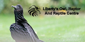 Liberty's Owl, Raptor & Reptile Centre Tickets