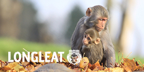 Longleat Safari and Adventure Park