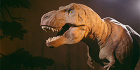 Natural History Museum -  Express Guided Tour & Audio Guide