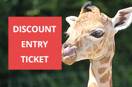 Port Lympne Hotel and Reserve