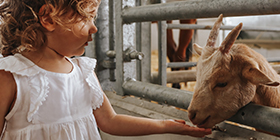 Rand Farm Park