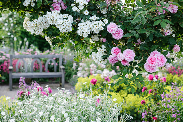 RHS Gardens Gallery Image