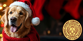 Santa Paws 2026