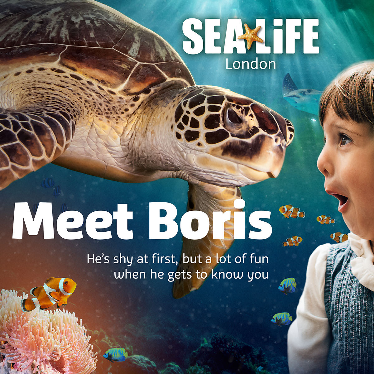 SEA LIFE London Aquarium Tickets, Exclusive Up To 36% Off Discount