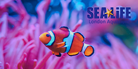 SEA LIFE London