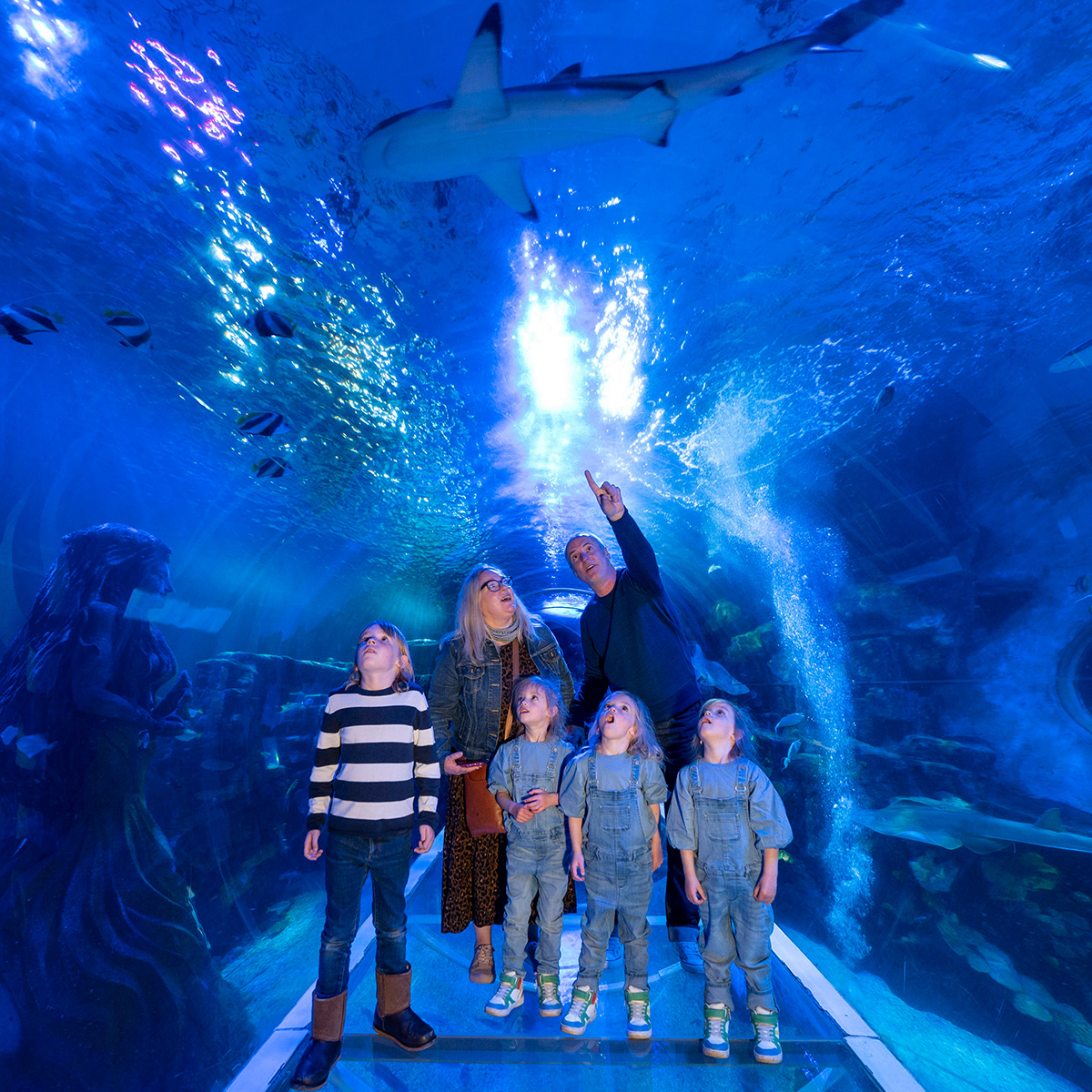 SEA LIFE Birmingham Tickets, Exclusive family ticket