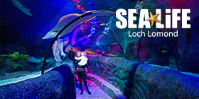 SEA LIFE Loch Lomond