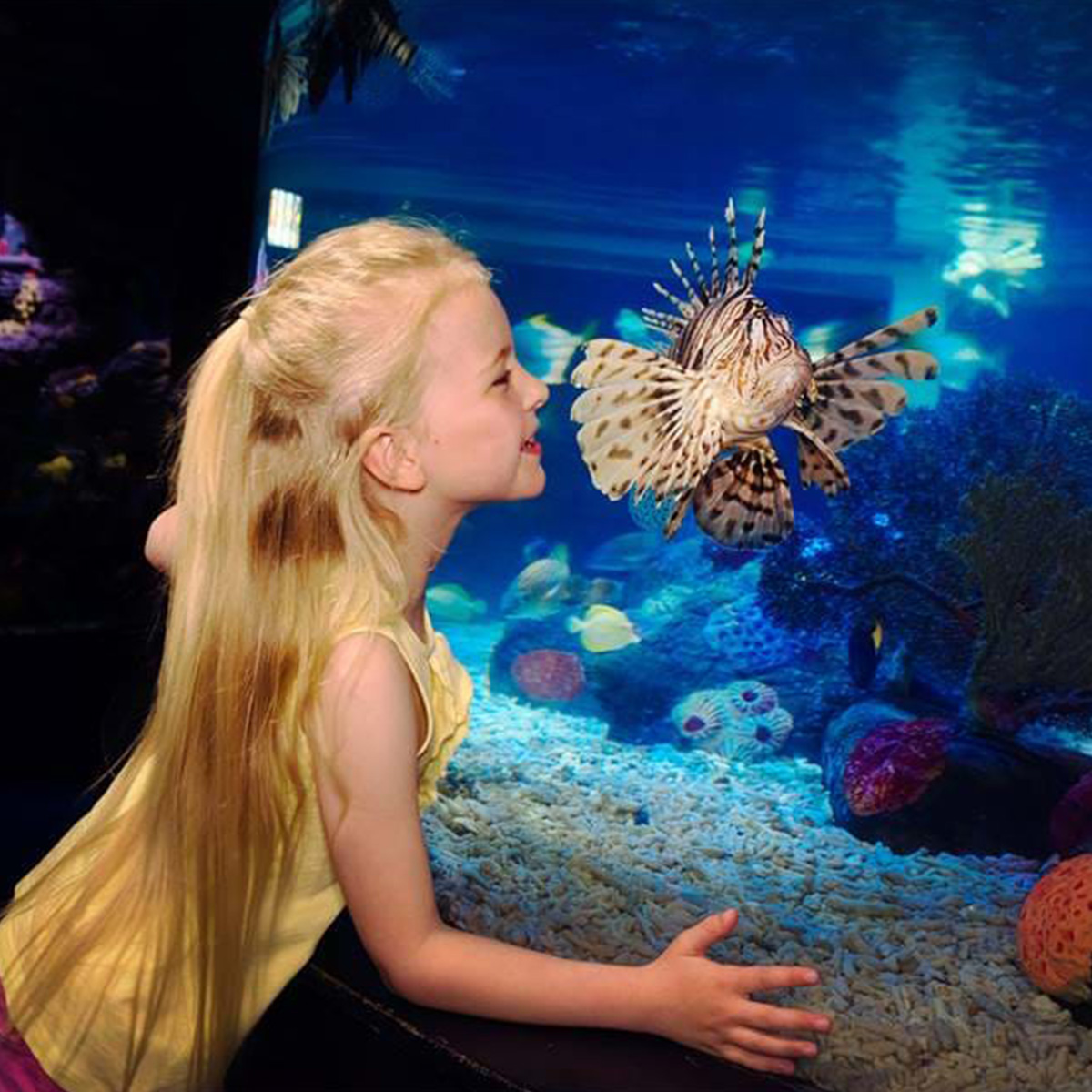 sea-life-manchester-tickets-up-to-41-off-discount