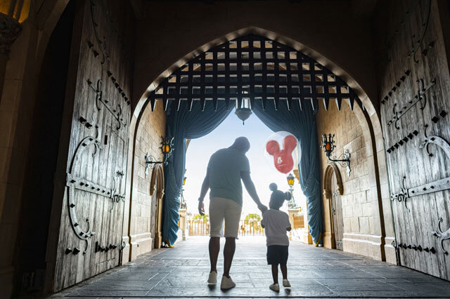 if-you-re-looking-to-take-a-walt-disney-world-universal-studios