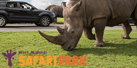 West Midlands Safari Park
