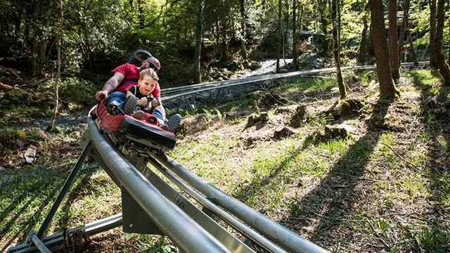 Zip World Fforest Coaster Tickets 10 Off Discount