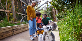 London Zoo